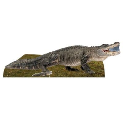 ANIMALS ALLIGATOR CARDBOARD CUT OUT