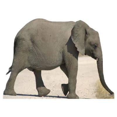 ANIMALS BABY ELEPHANT CARDBOARD CUT OUT