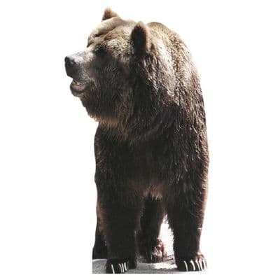 ANIMALS BEAR CARDBOARD CUT OUT