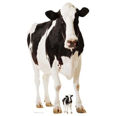 ANIMALS COW CARDBOARD CUT OUT