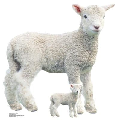 ANIMALS LAMB CARDBOARD CUT OUT
