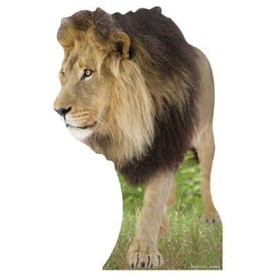ANIMALS LION CARDBOARD CUT OUT