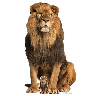 ANIMALS LION SITTING CARDBOARD CUT OUT