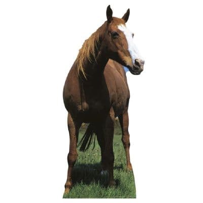 ANIMALS MUSTANG HORSE CARDBOARD CUT OUT