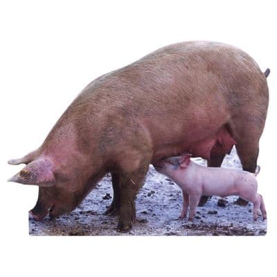 ANIMALS PIG CARDBOARD CUT OUT