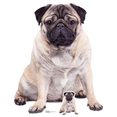 ANIMALS PUG CARDBOARD CUT OUT