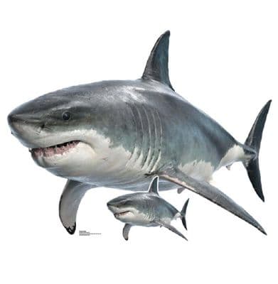 ANIMALS SHARK CARDBOARD CUT OUT