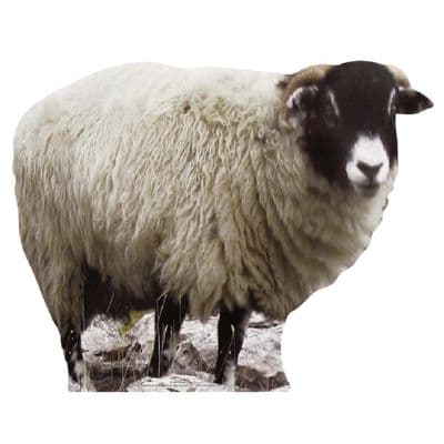 ANIMALS SHEEP WITH HORNS CARDBOARD CUT OUT