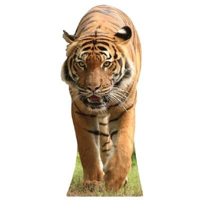 ANIMALS TIGER CARDBOARD CUT OUT