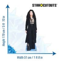 CHER LIFE SIZE CARDBOARD CUT OUT