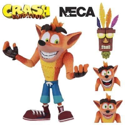 CRASH BANDICOOT 5.5