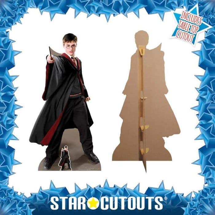 HARRY POTTER QUIDDITCH CAPTAIN LIFE SIZE CARDBOARD CUT OUT
