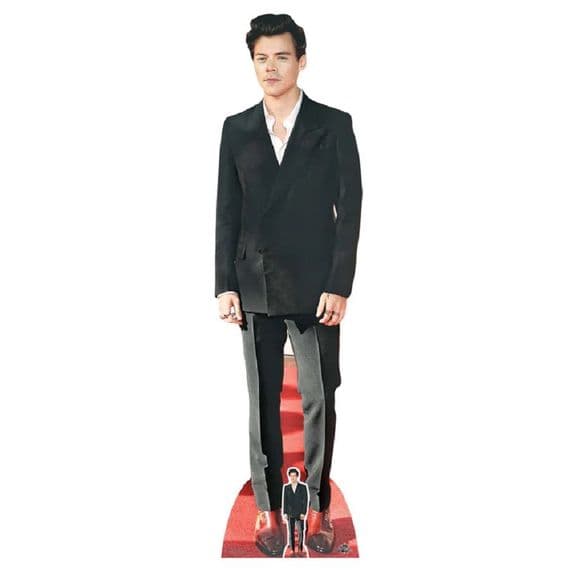 Harry Styles Life Size Cut Out
