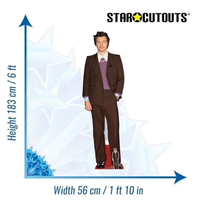 Harry Styles Life Size Cut Out