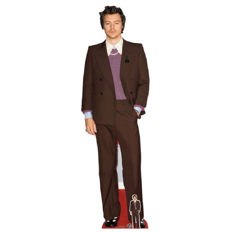 Harry Styles Life Size Cut Out