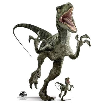 JURASSIC WORLD RAPTOR CHARLIE DINOSAUR CARDBOARD CUT OUT