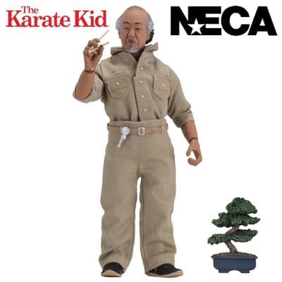 KARATE KID MR MIYAGI 6