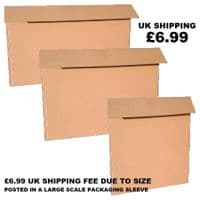 SKELETON STAND IN LIFE SIZE CARDBOARD CUT OUT