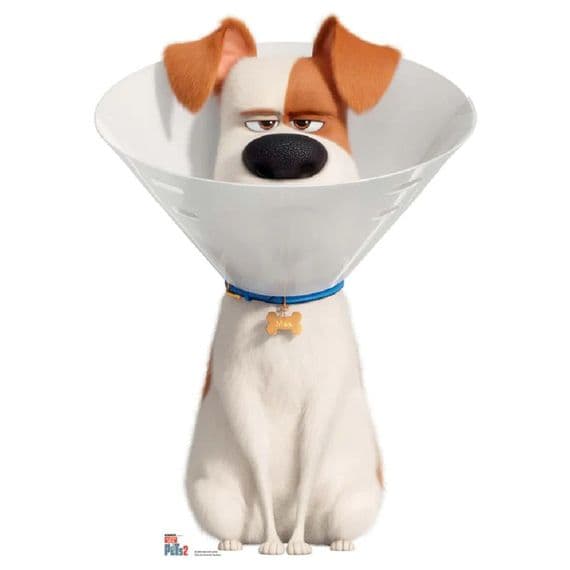 THE SECRET LIFE OF PETS MAX WITH CONE COLLAR CARDBOARD CUT OUT