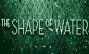 THE SHAPE OF WATER