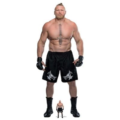 WWE BROCK LESNAR LIFE SIZE CARDBOARD CUT OUT