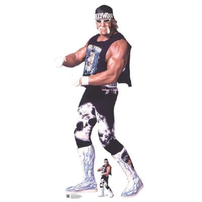 WWE HULK HOGAN NWO LIFE SIZE CARDBOARD CUT OUT