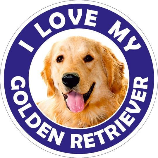Golden Ririverer Sticker Golden Retriever sticker