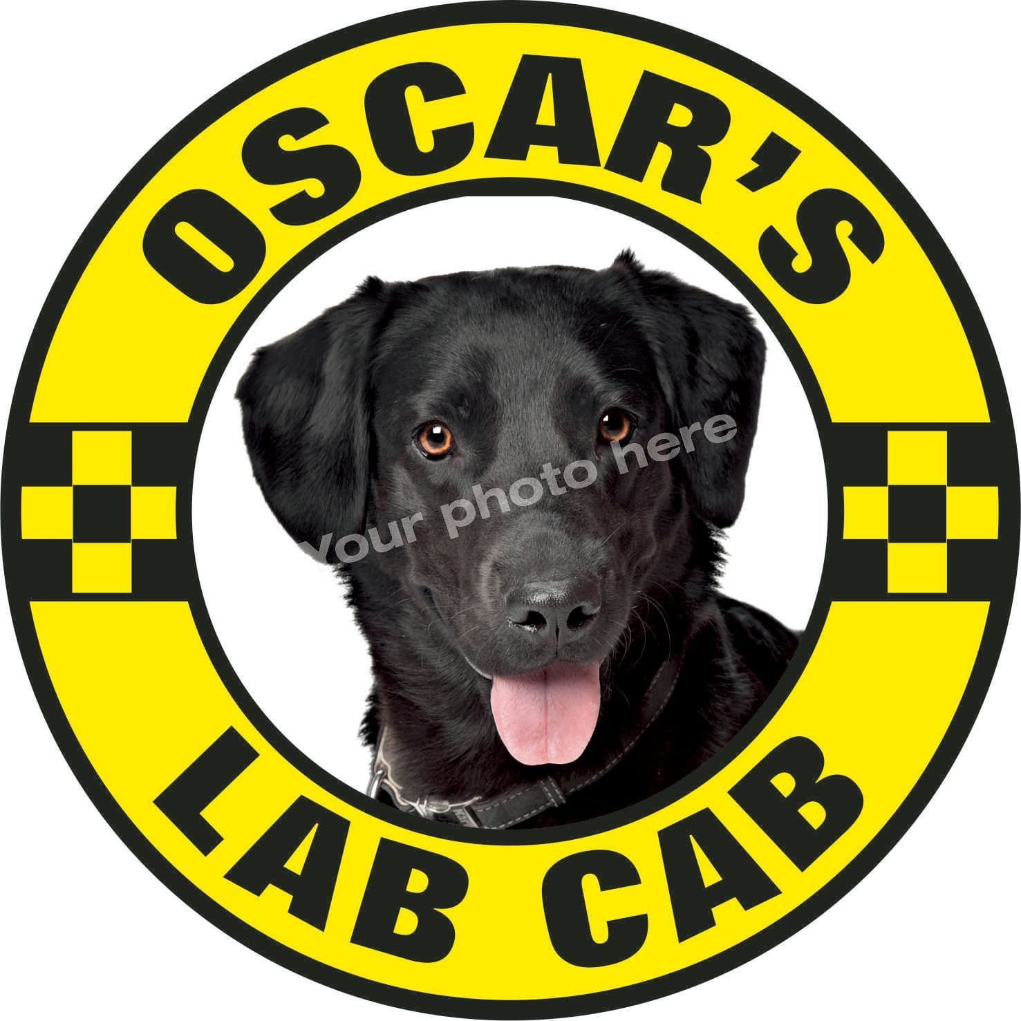 Lab Cab