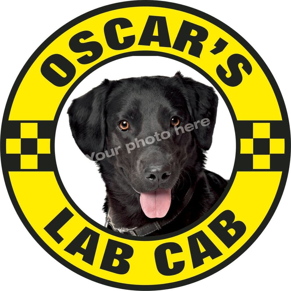 Lab Cab