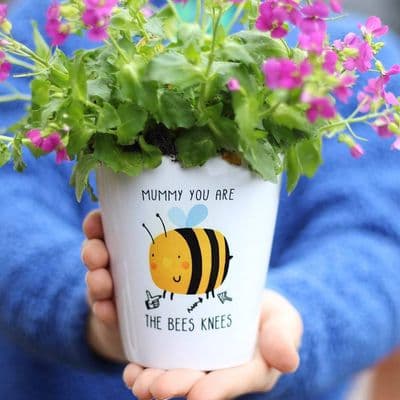 Mummy You Are The Bees Knees Plant Pot