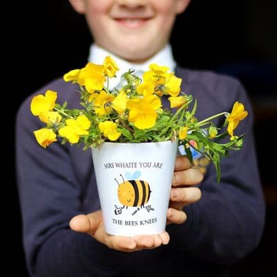 You Are The Bees Knees Teacher Plant Pot