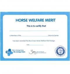 Blue Cross Certificate