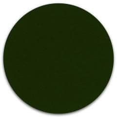 C Test Felt (Dark Green)