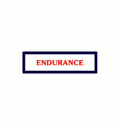 Endurance