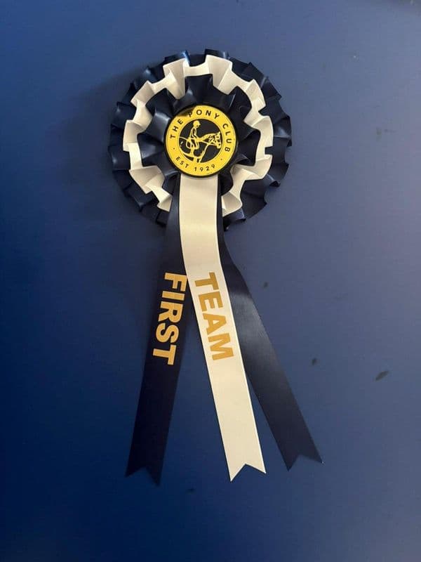 Pack of 6 Pony Club Rosettes 1st - 6th SPECIAL OFFER