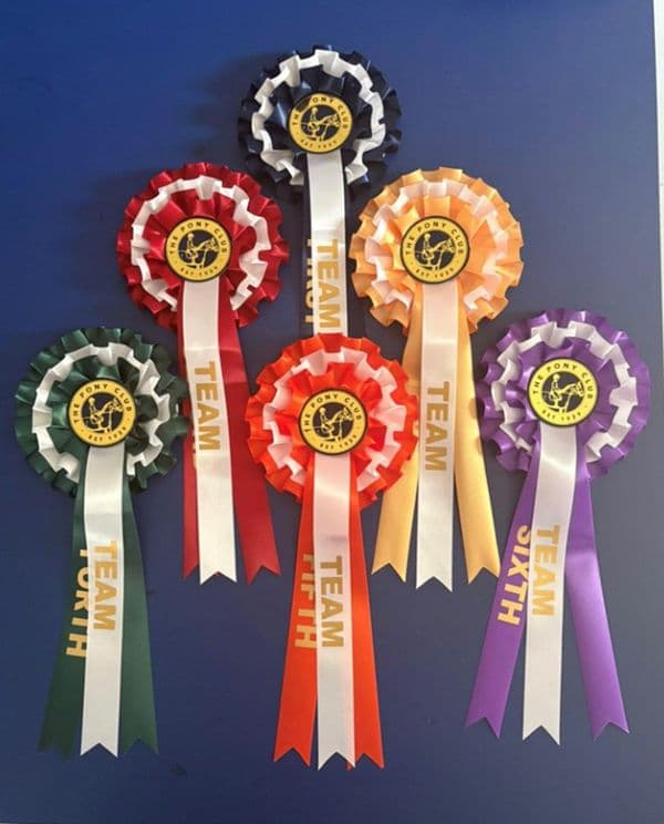 Pack of 6 Pony Club Rosettes 1st - 6th SPECIAL OFFER