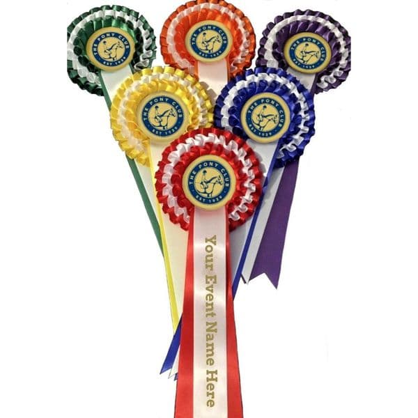 Pack of 6 Pony Club Rosettes 1st - 6th SPECIAL OFFER
