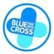 Pony Club Blue Cross Achievement Badge
