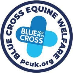 Pony Club Blue Cross Achievement Badge