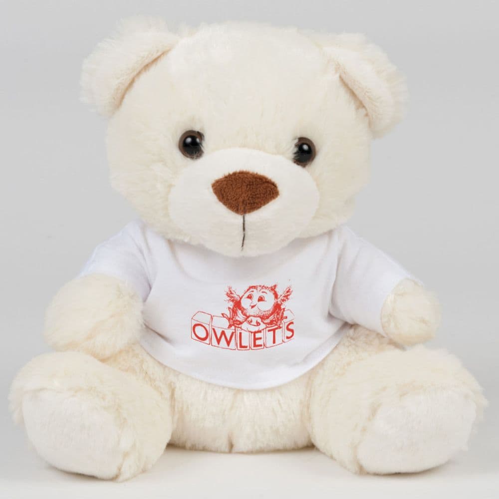 Teddy Bear with Printed T-shirt (20 Bears)