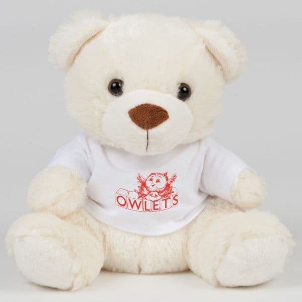 Teddy Bear with Printed T-shirt (20 Bears)