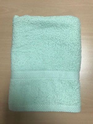 Egyptian Cotton 420gsm Bath Sheet Green