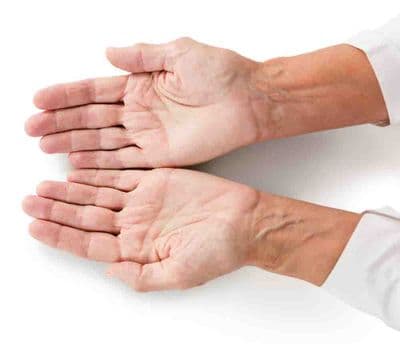 Hand Towels