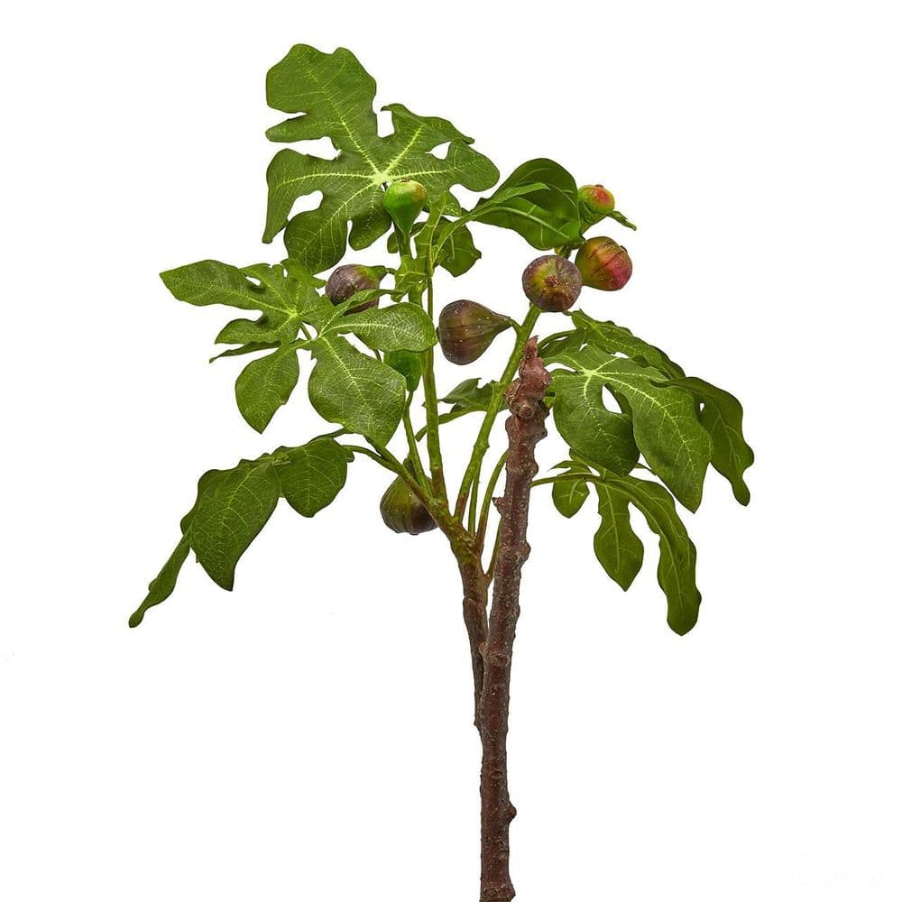 Faux Fig Tree Branch