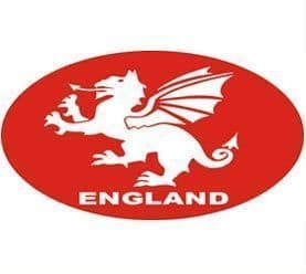 White Dragon Car Bumper Sticker