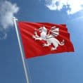White Dragon Flag of the English