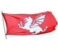 White Dragon Flag of the English