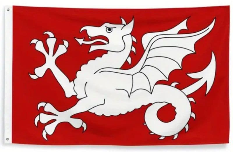 White Wyvern Flag of the English 5ft x 3ft
