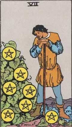 The Seven of Pentacles in Tarot: Patience, Progress, and Harvest in Waiting