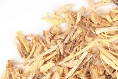 Angelica Root 25g